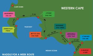 Waddle for a Week walking in support of the African penguin